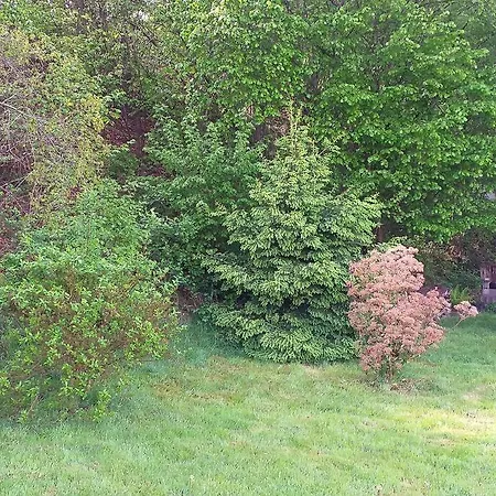 Les Gallinaces Holiday home