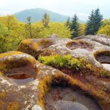 Дом отдыха Les Gallinaces Docelles