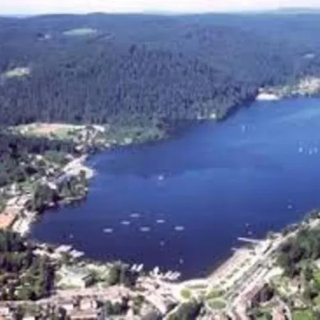 Les Gallinaces 別荘 Docelles