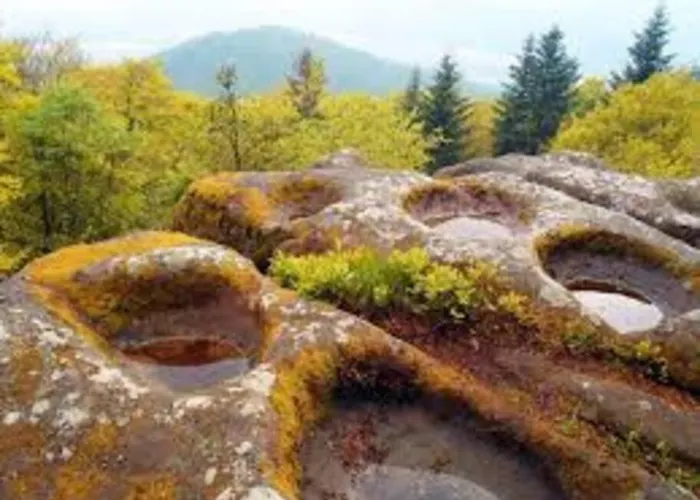 Casa vacanze Les Gallinaces Docelles