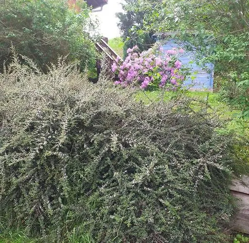 Casa vacanze Les Gallinaces *